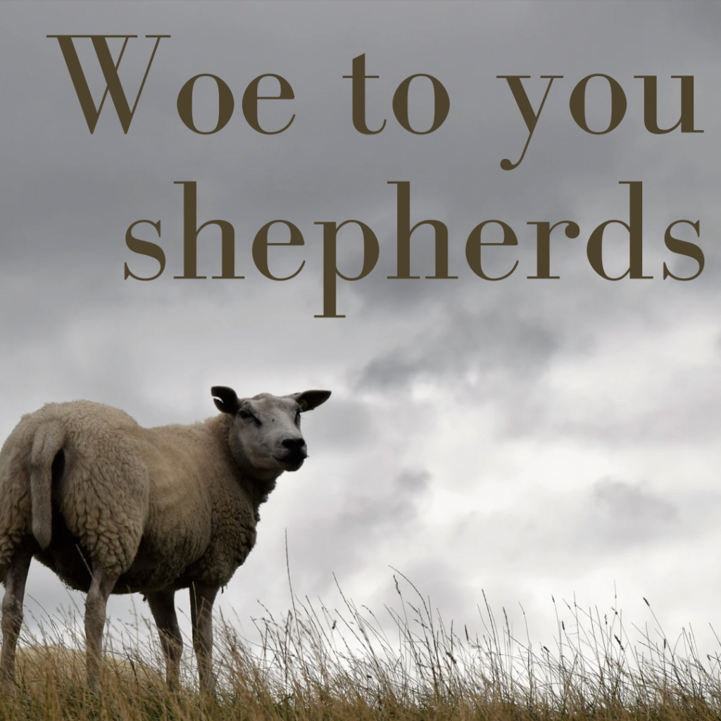 Woe to you shepherds — A pastor’s words for the people he serves..